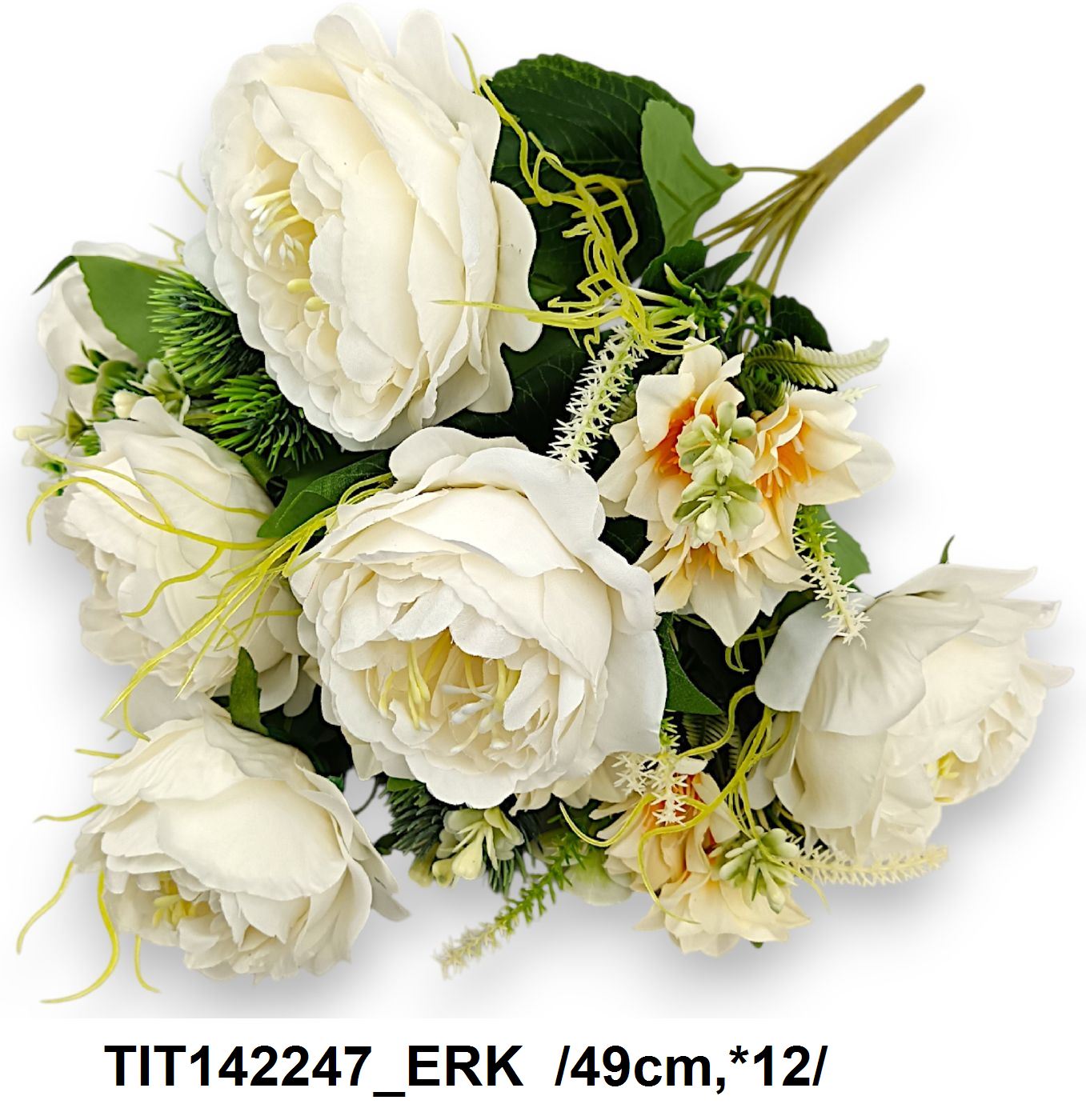 TIT142247_ERK