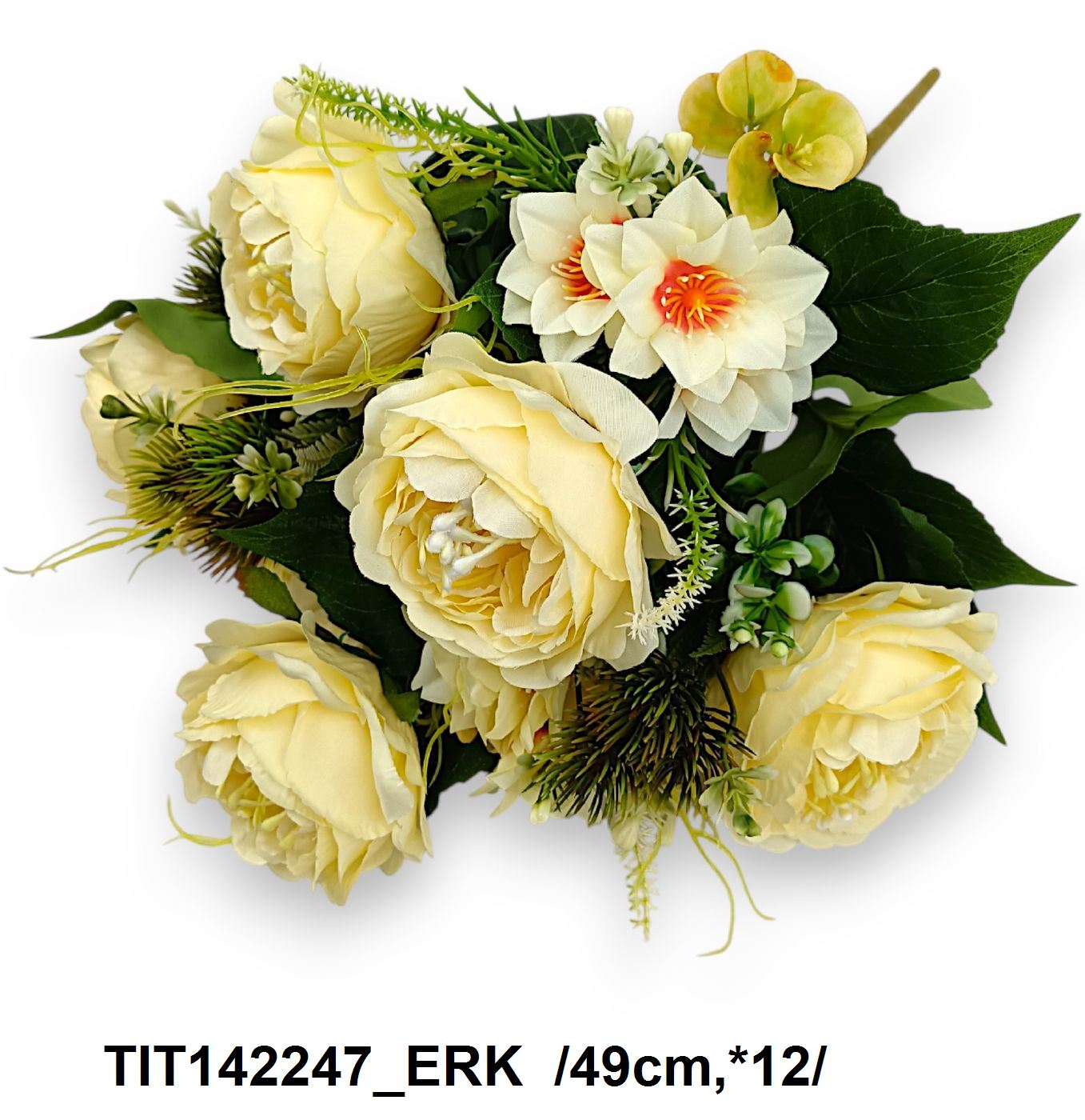 TIT142247_ERK