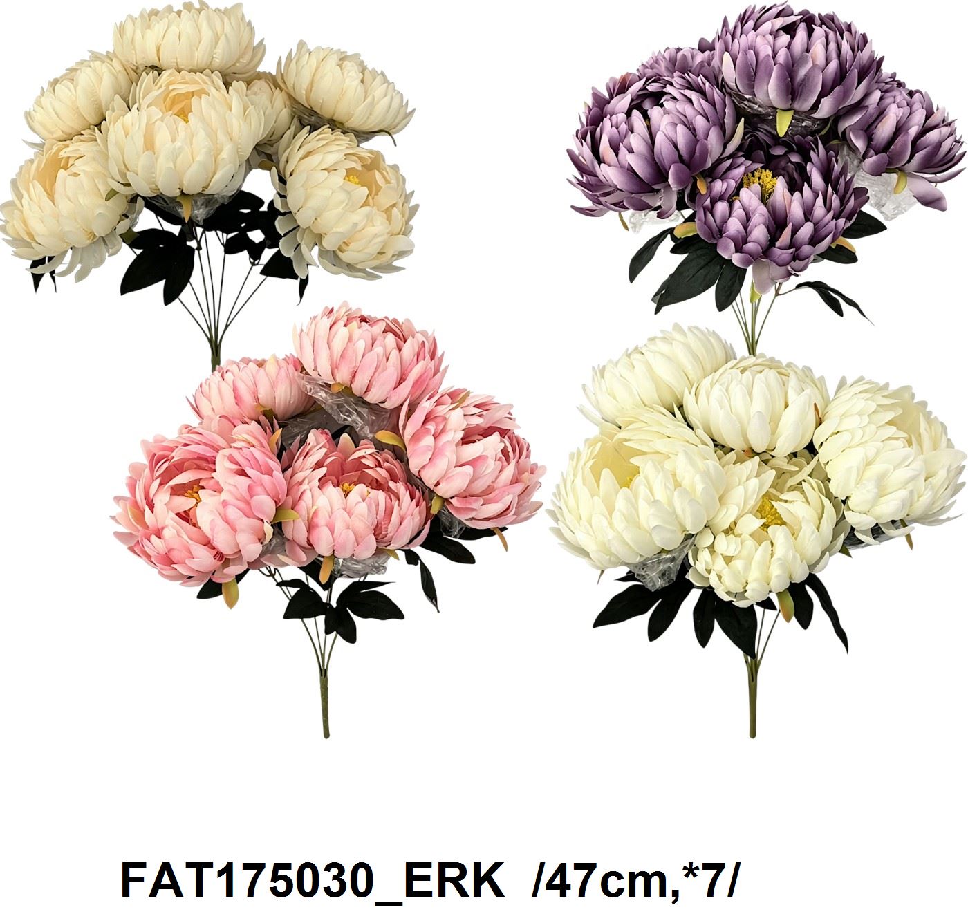 FAT175030_ERK