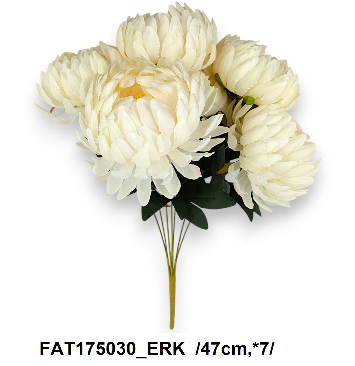 FAT175030_ERK