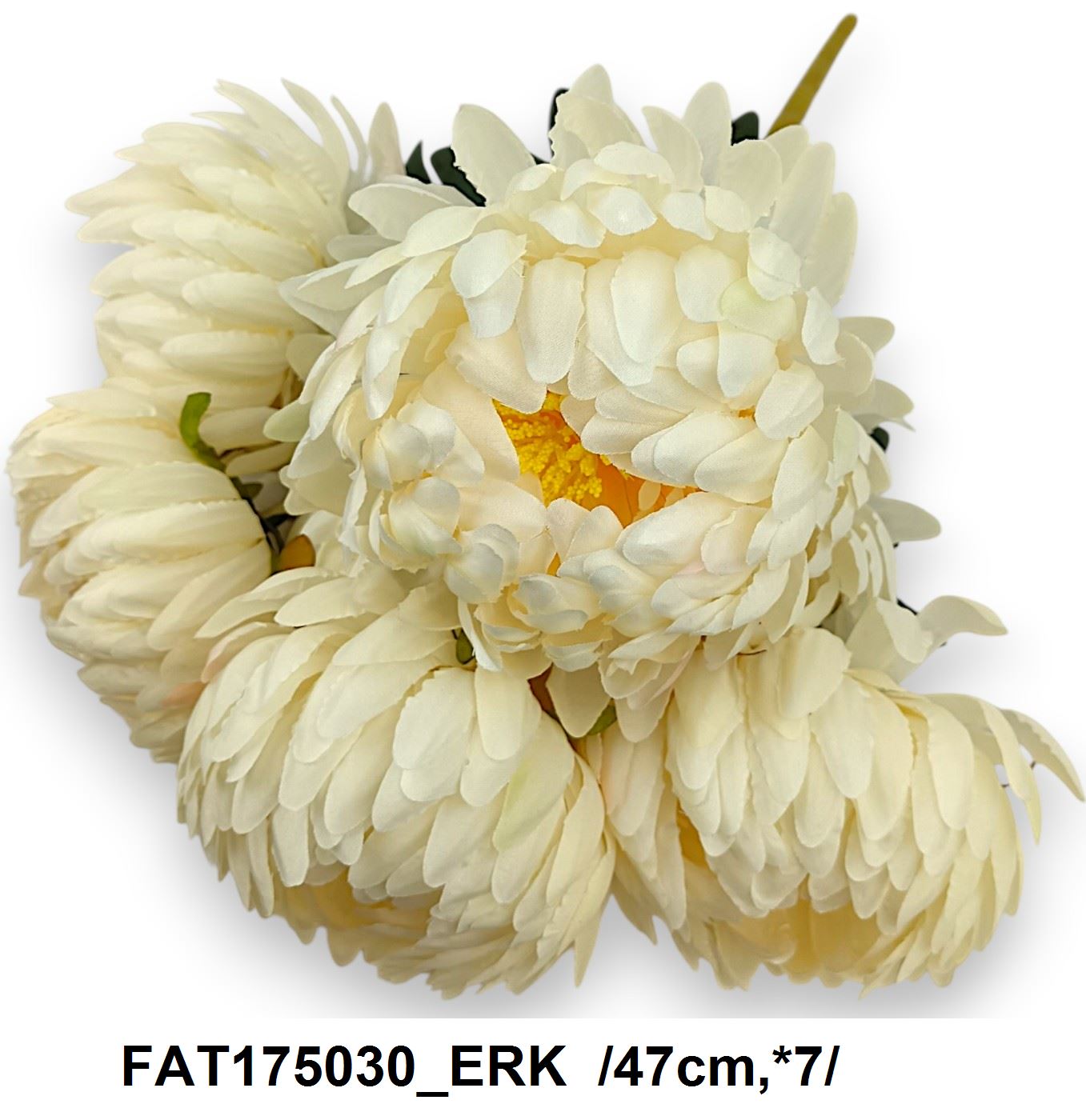 FAT175030_ERK