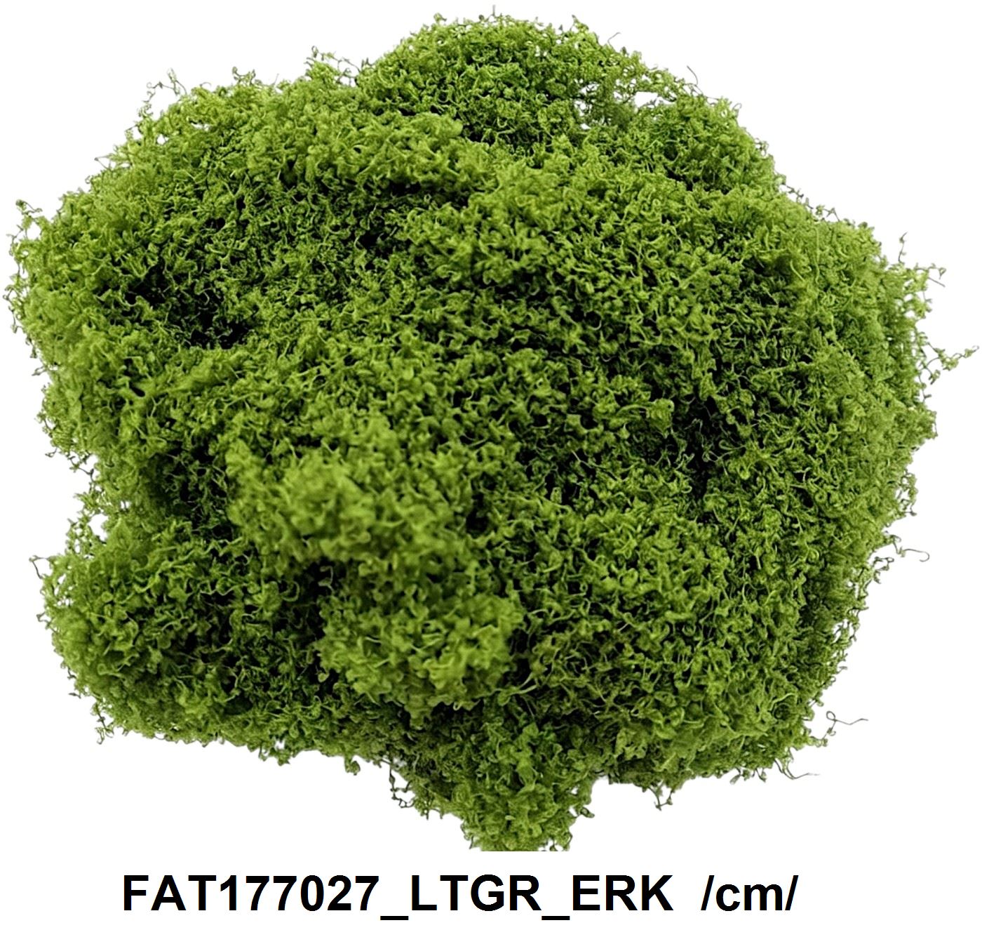 FAT177027_LTGR_ERK