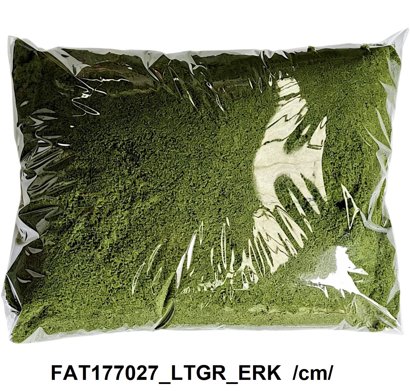 FAT177027_LTGR_ERK