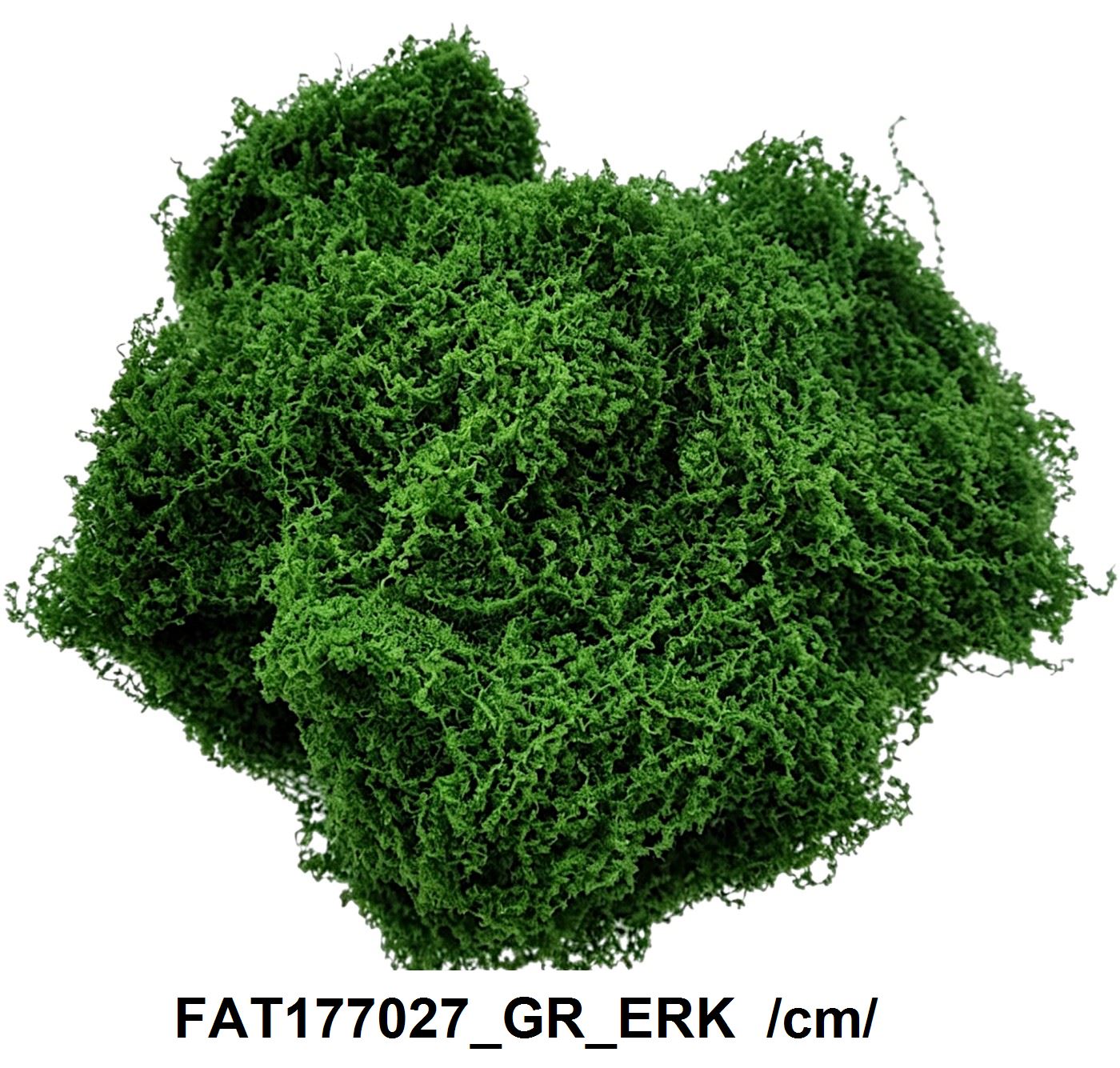 FAT177027_GR_ERK