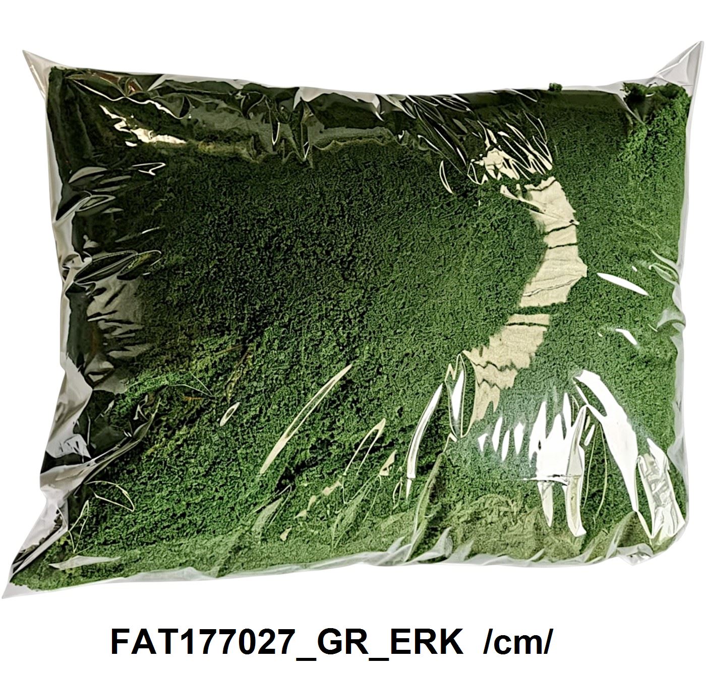 FAT177027_GR_ERK