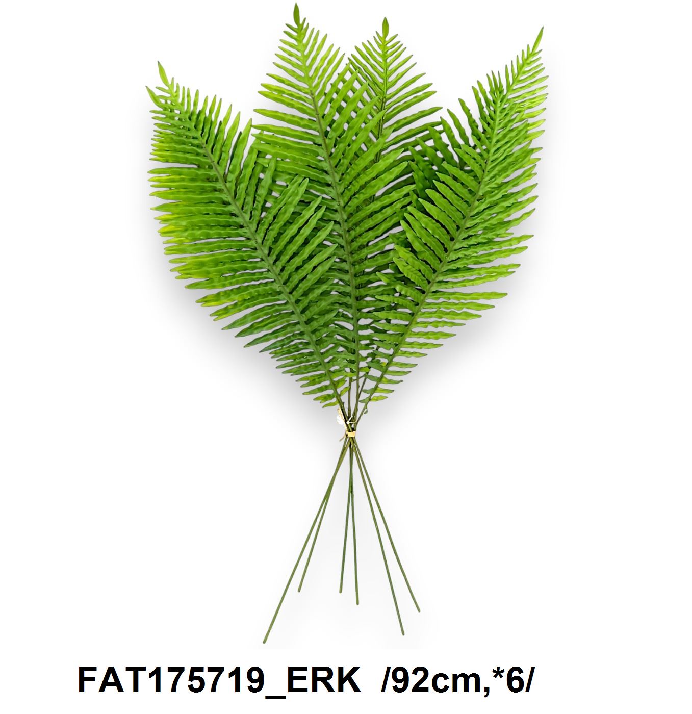 FAT175719_ERK