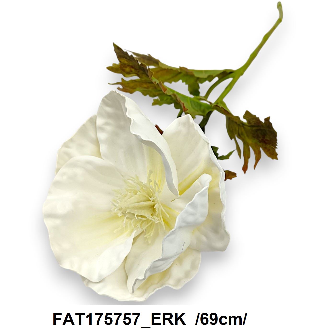 FAT175757_ERK