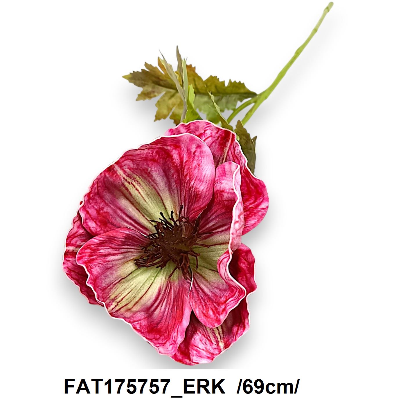 FAT175757_ERK
