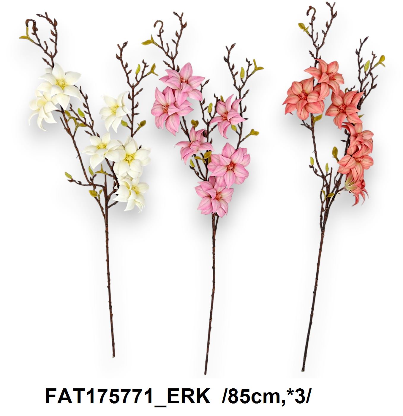 FAT175771_ERK