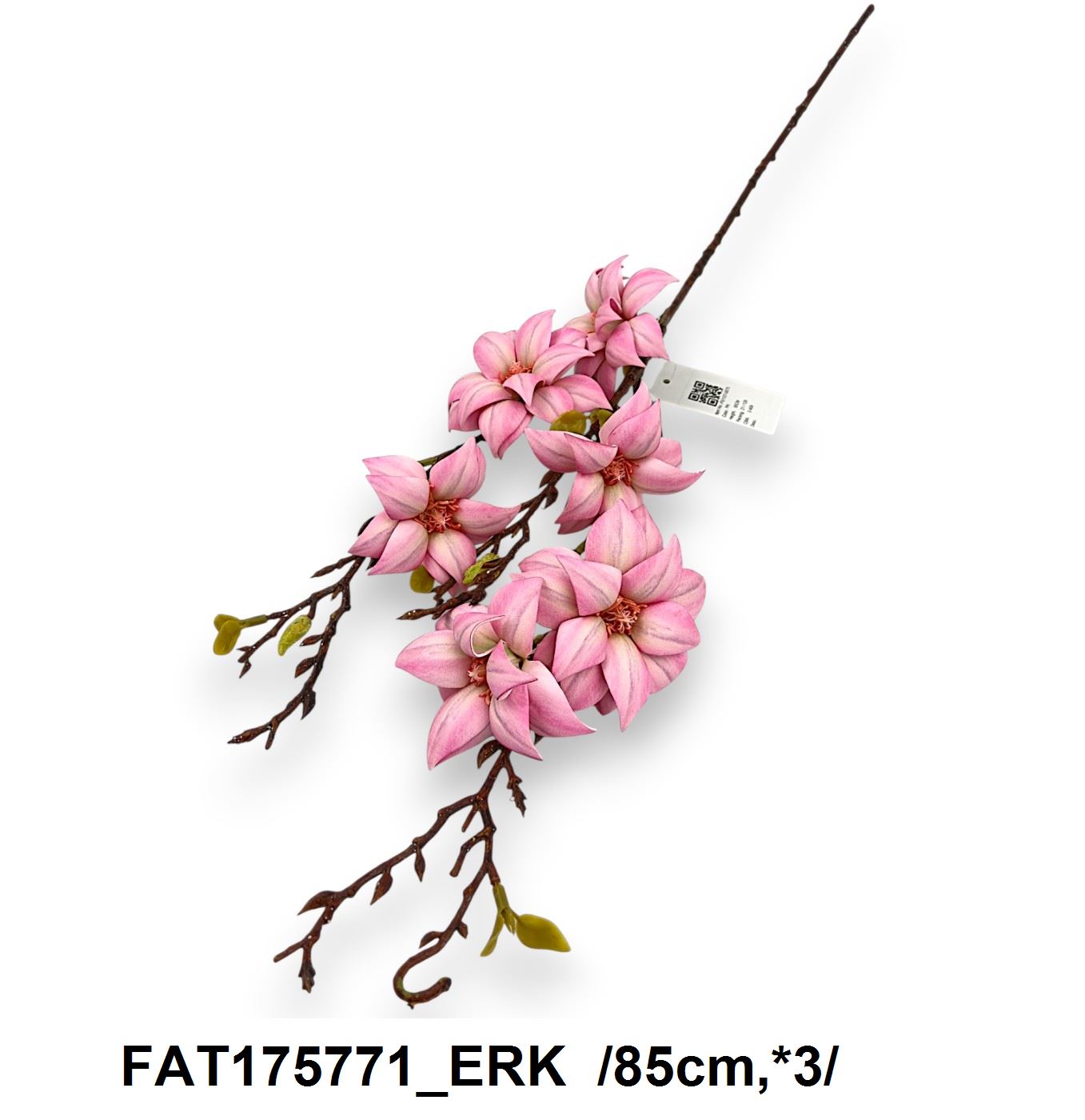 FAT175771_ERK