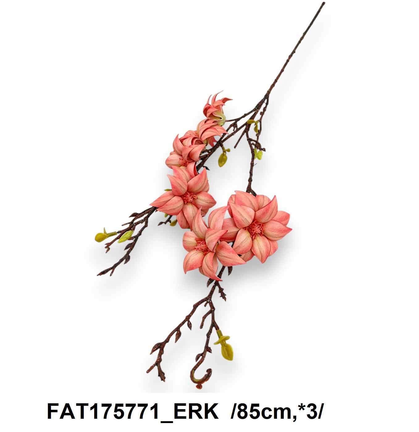 FAT175771_ERK