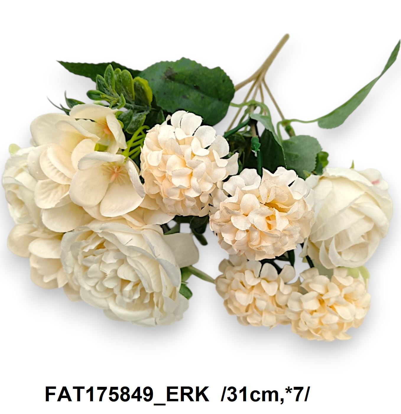 FAT175849_ERK