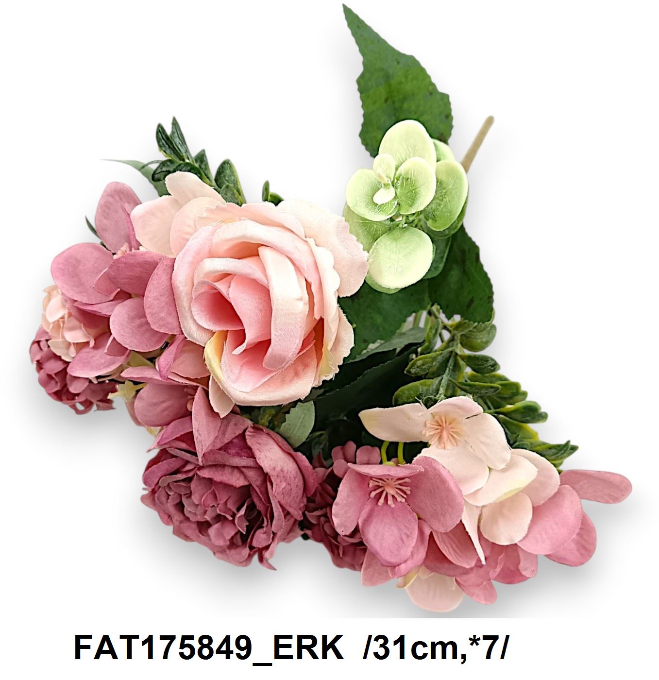 FAT175849_ERK