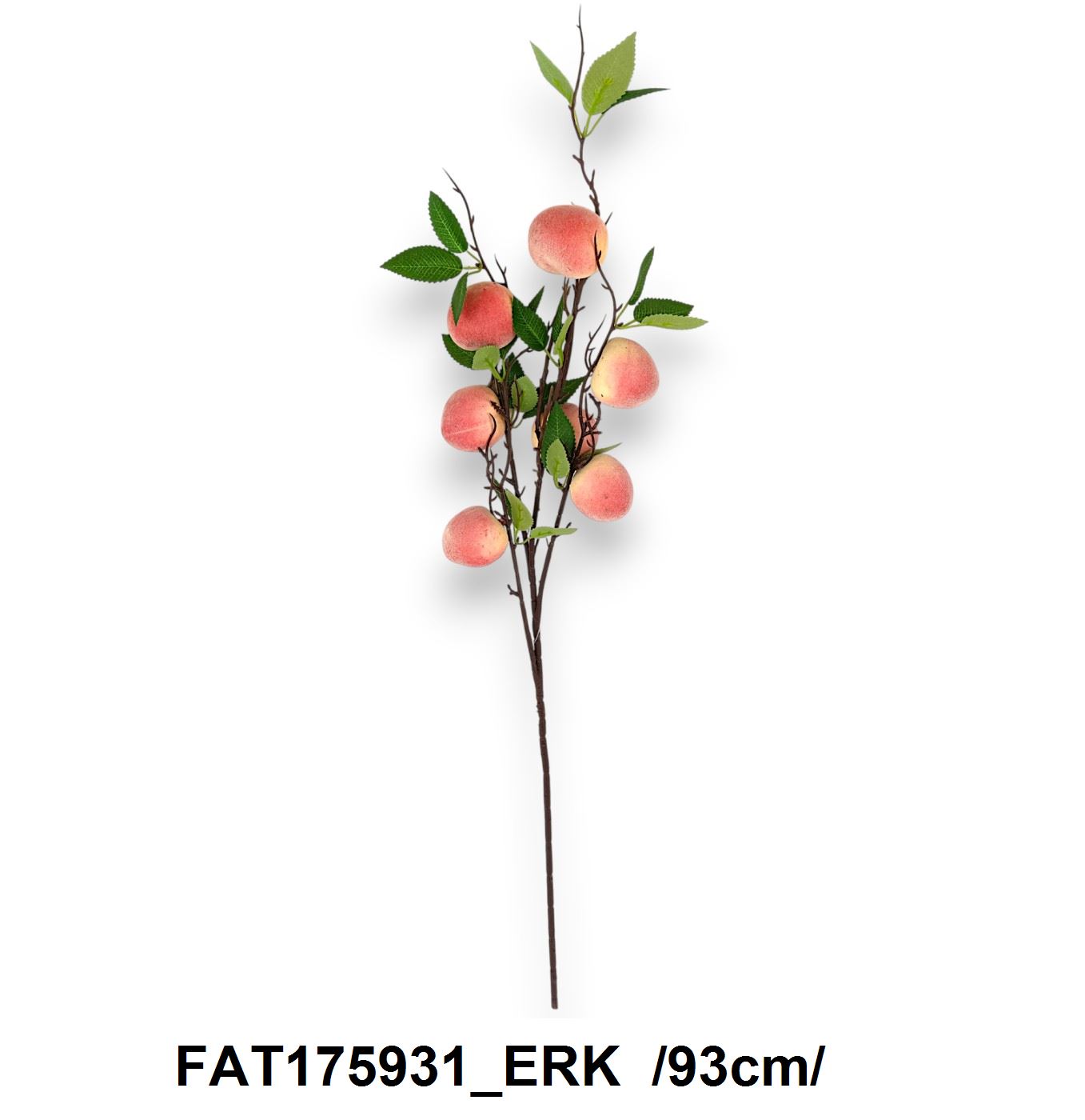 FAT175931_ERK