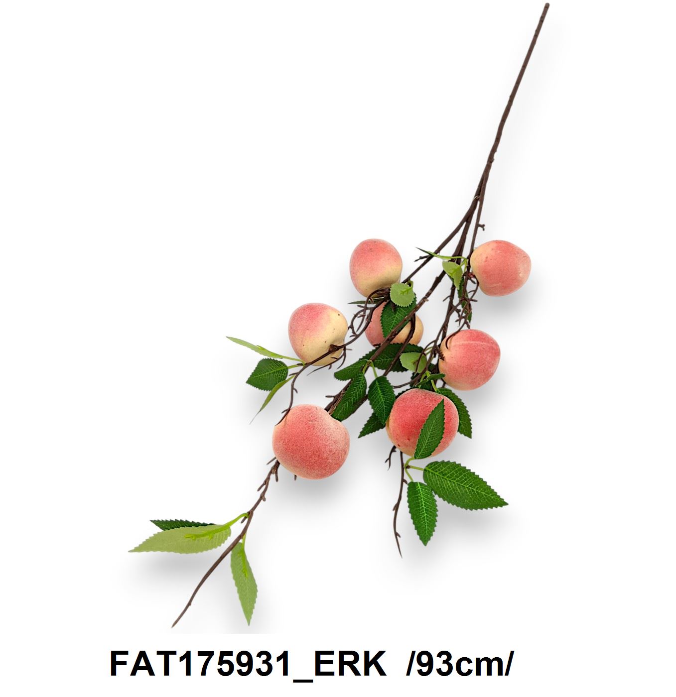 FAT175931_ERK