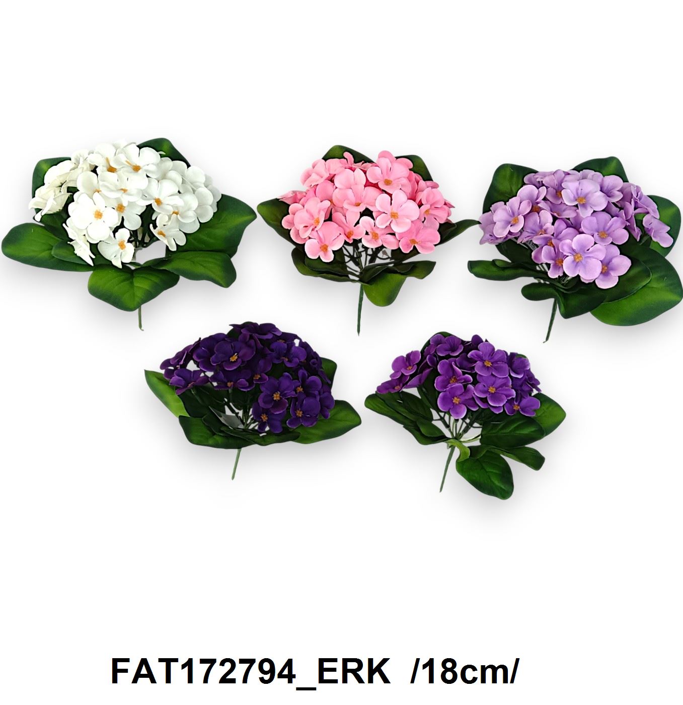 FAT172794_ERK