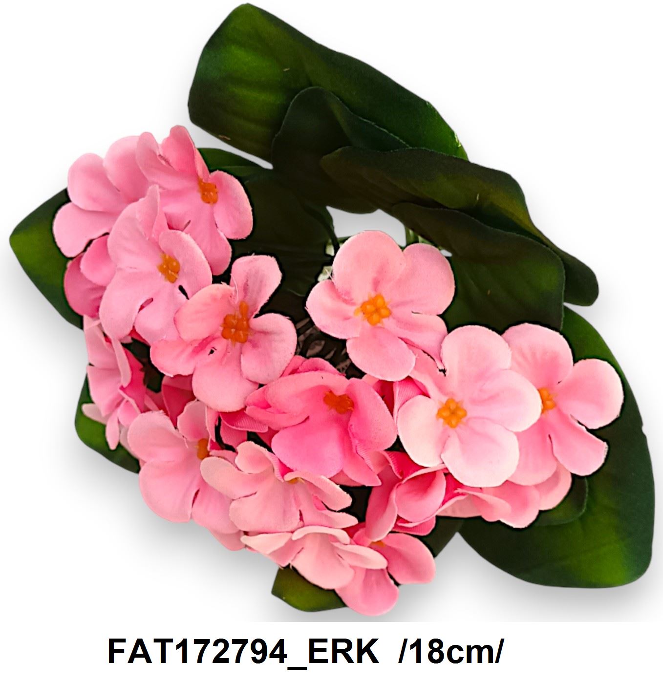 FAT172794_ERK