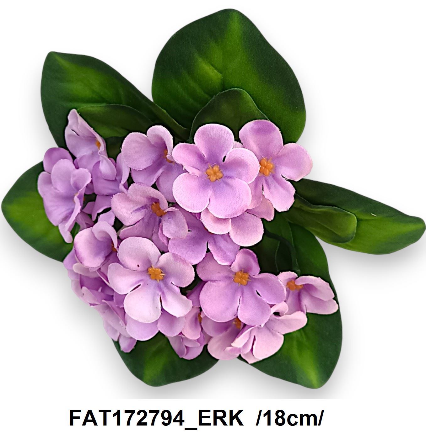 FAT172794_ERK