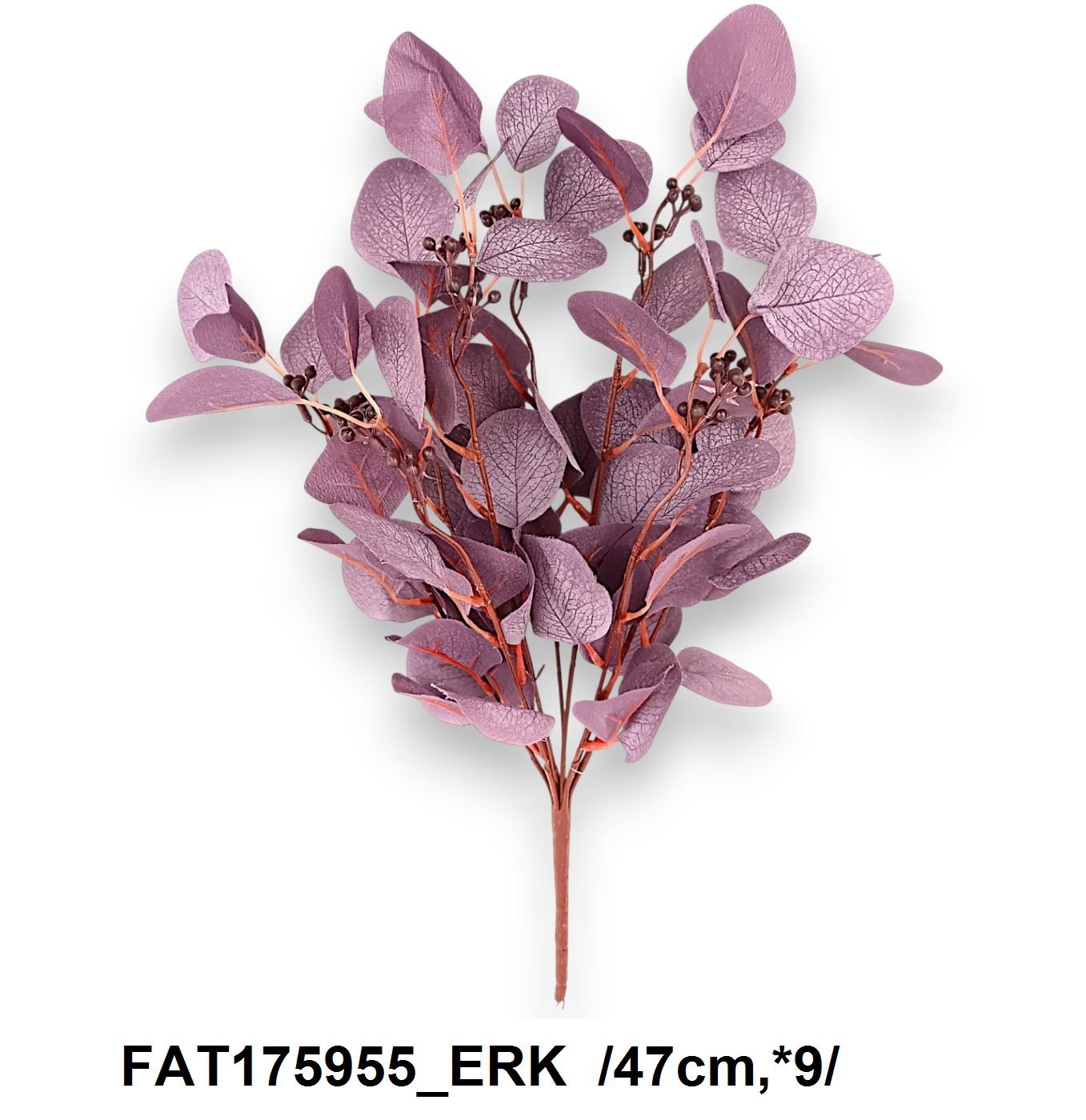 FAT175955_ERK