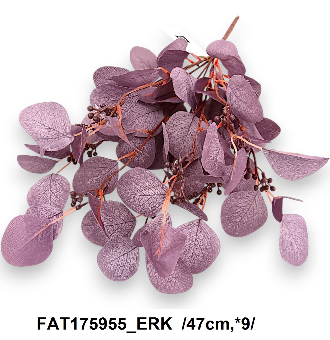 FAT175955_ERK