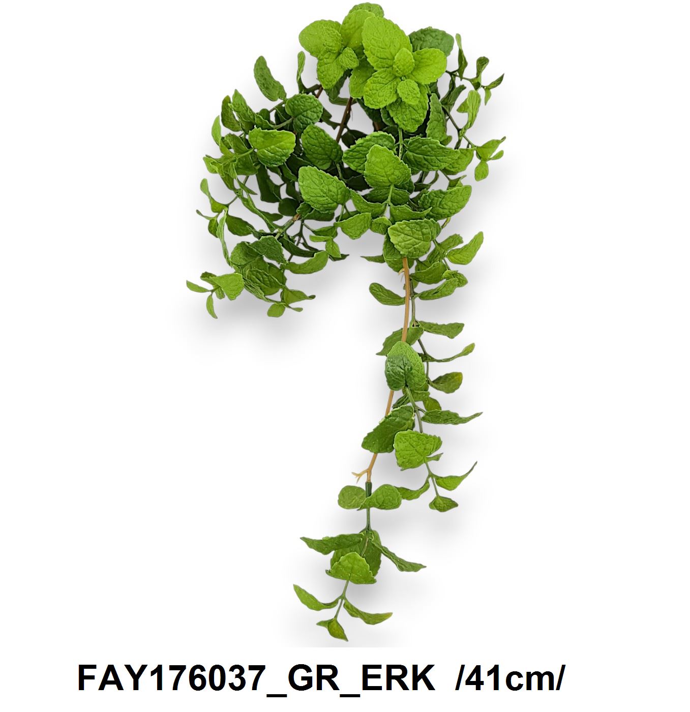 FAY176037_GR_ERK