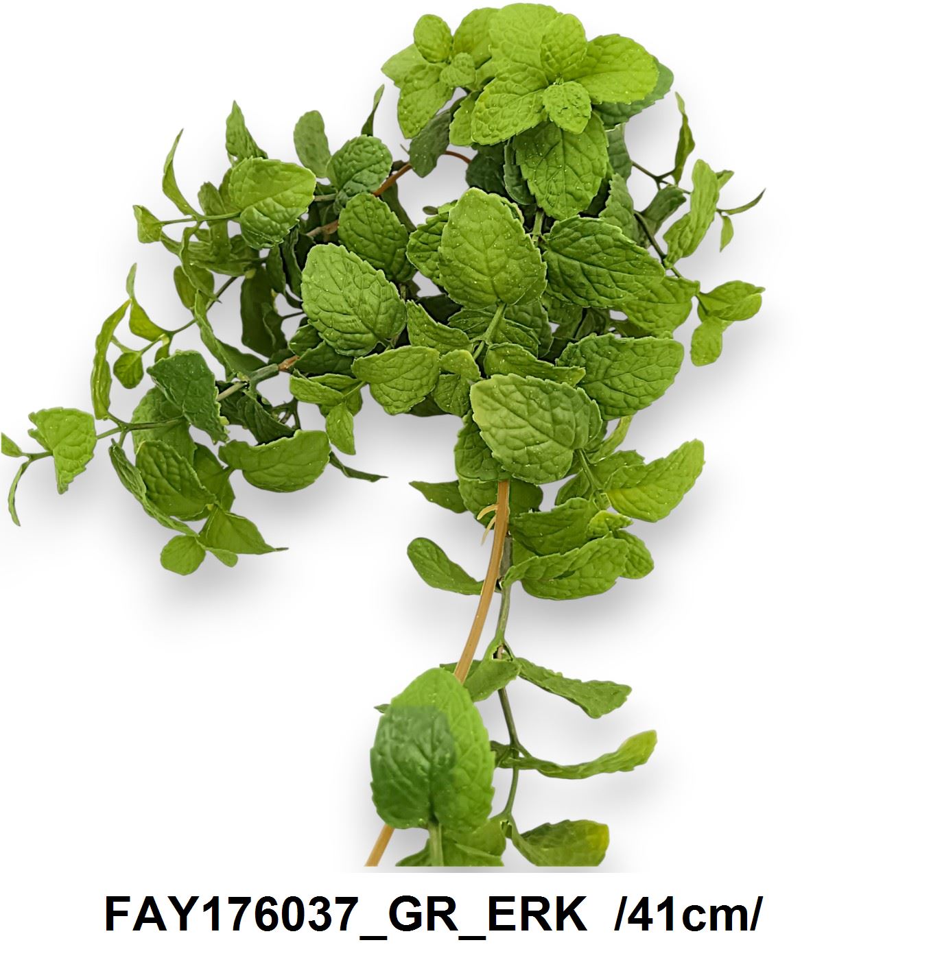 FAY176037_GR_ERK