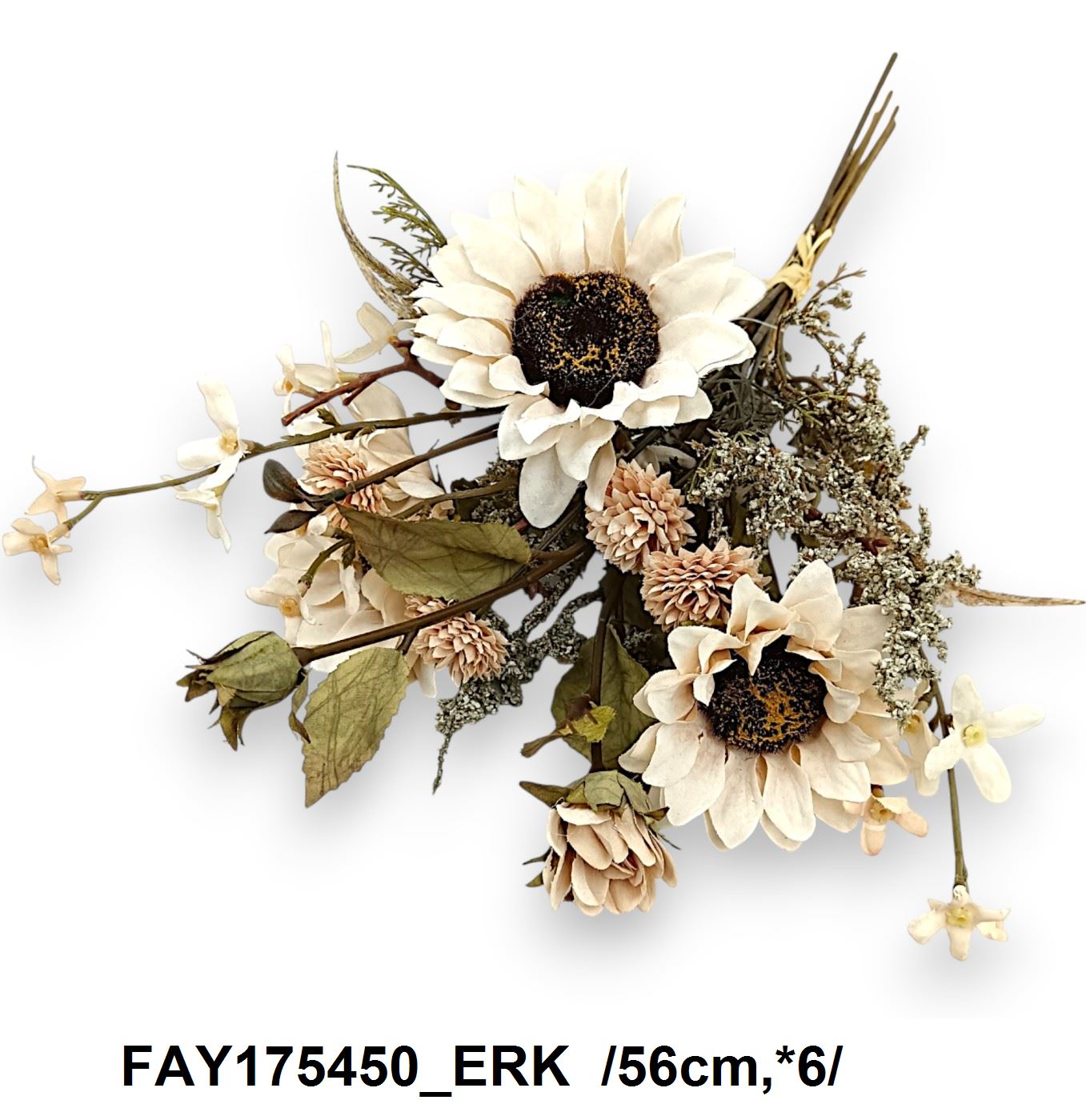 FAY175450_ERK