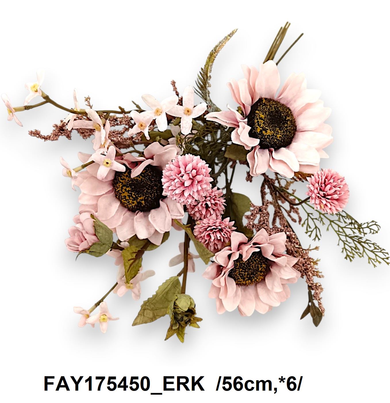 FAY175450_ERK