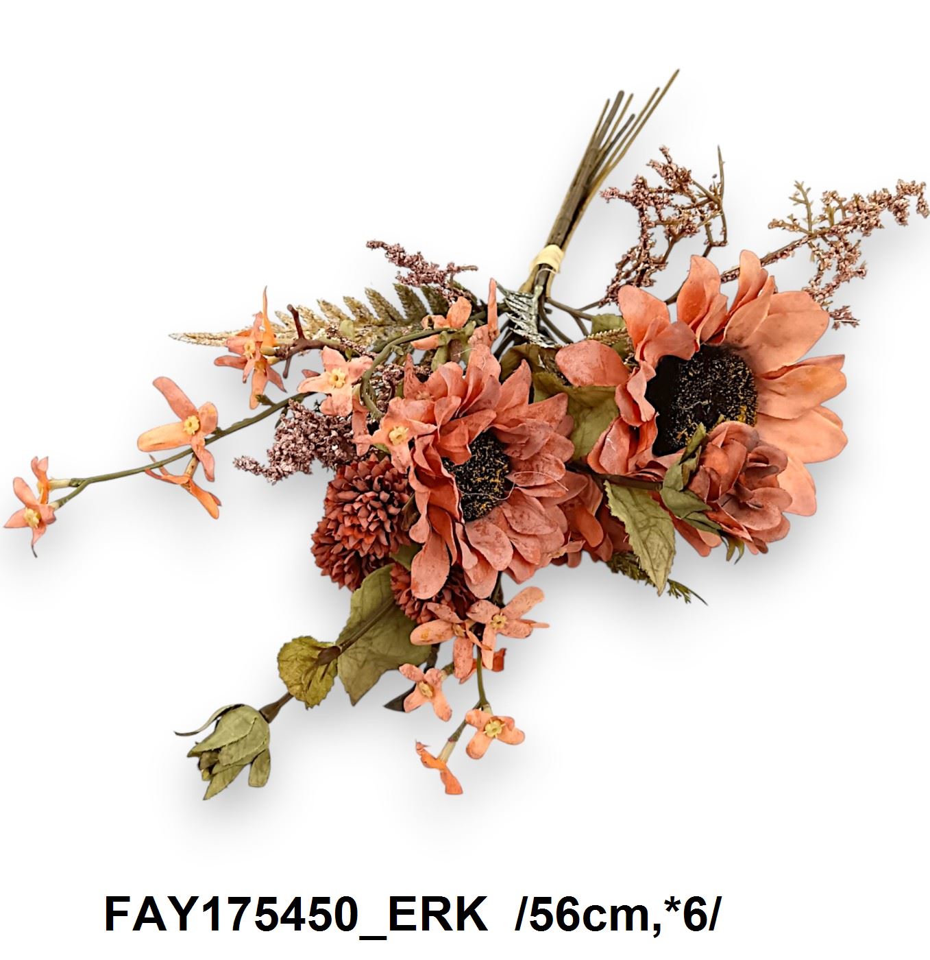 FAY175450_ERK