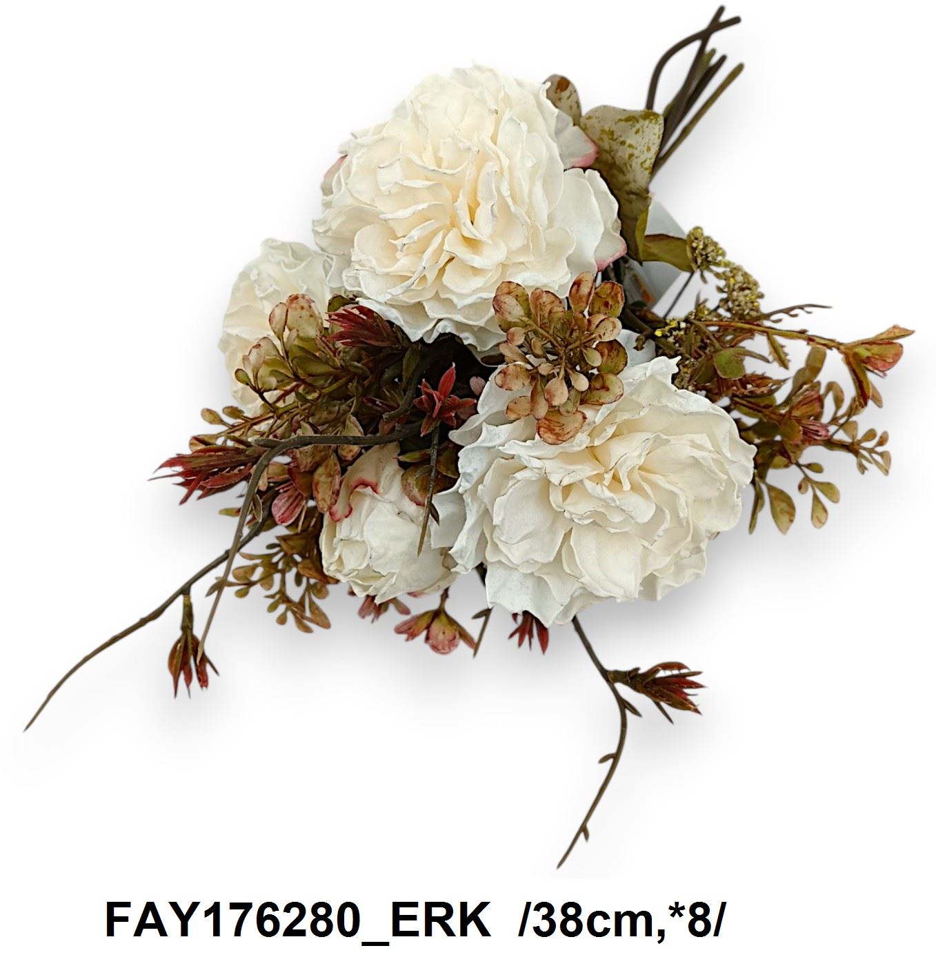 FAY176280_ERK