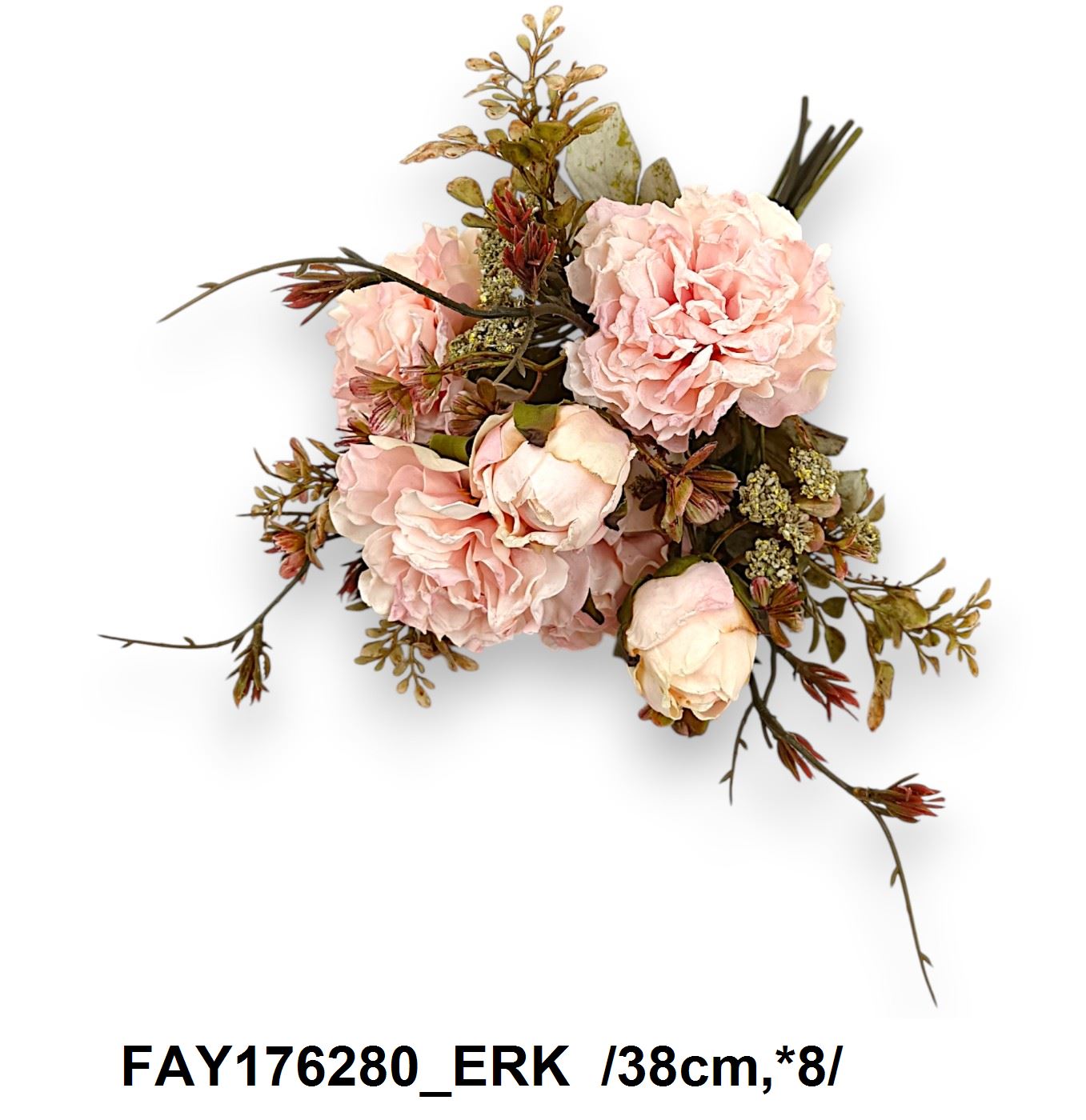 FAY176280_ERK