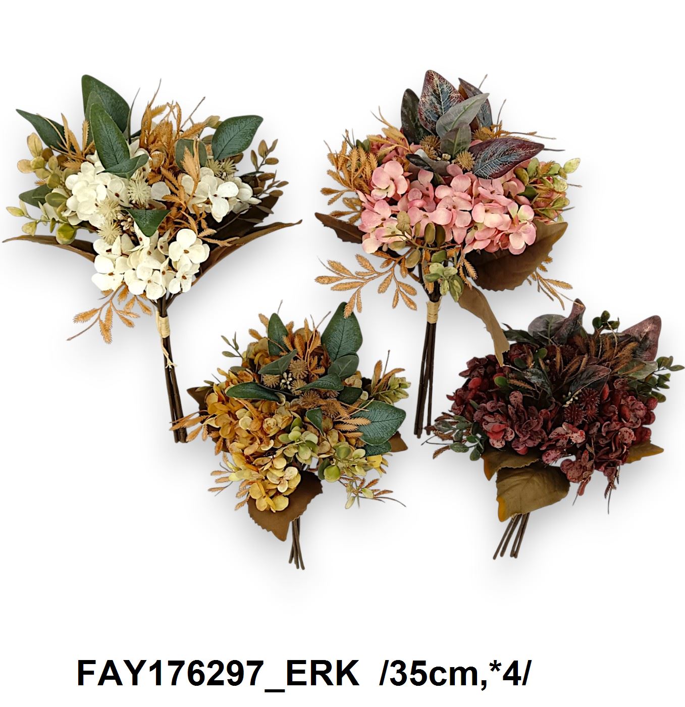 FAY176297_ERK