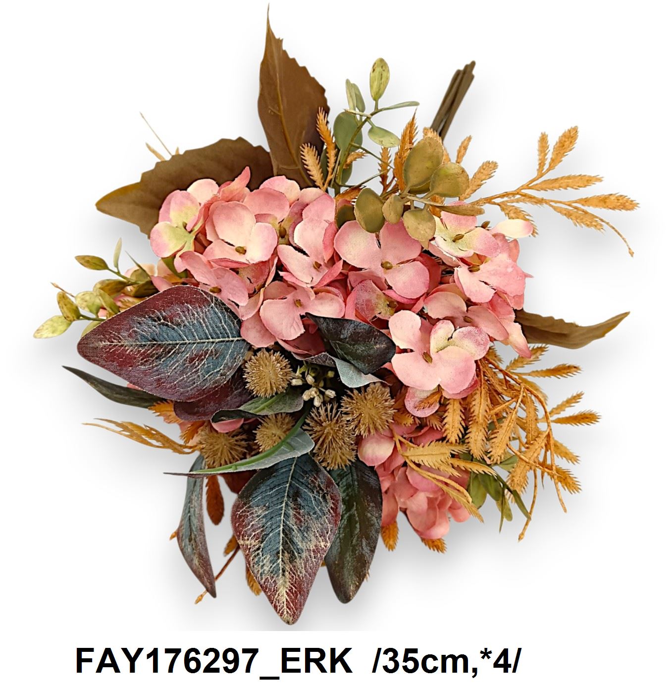 FAY176297_ERK