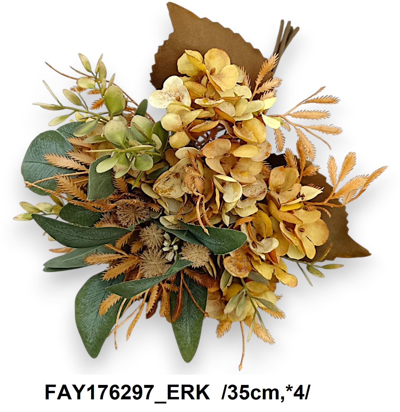 FAY176297_ERK