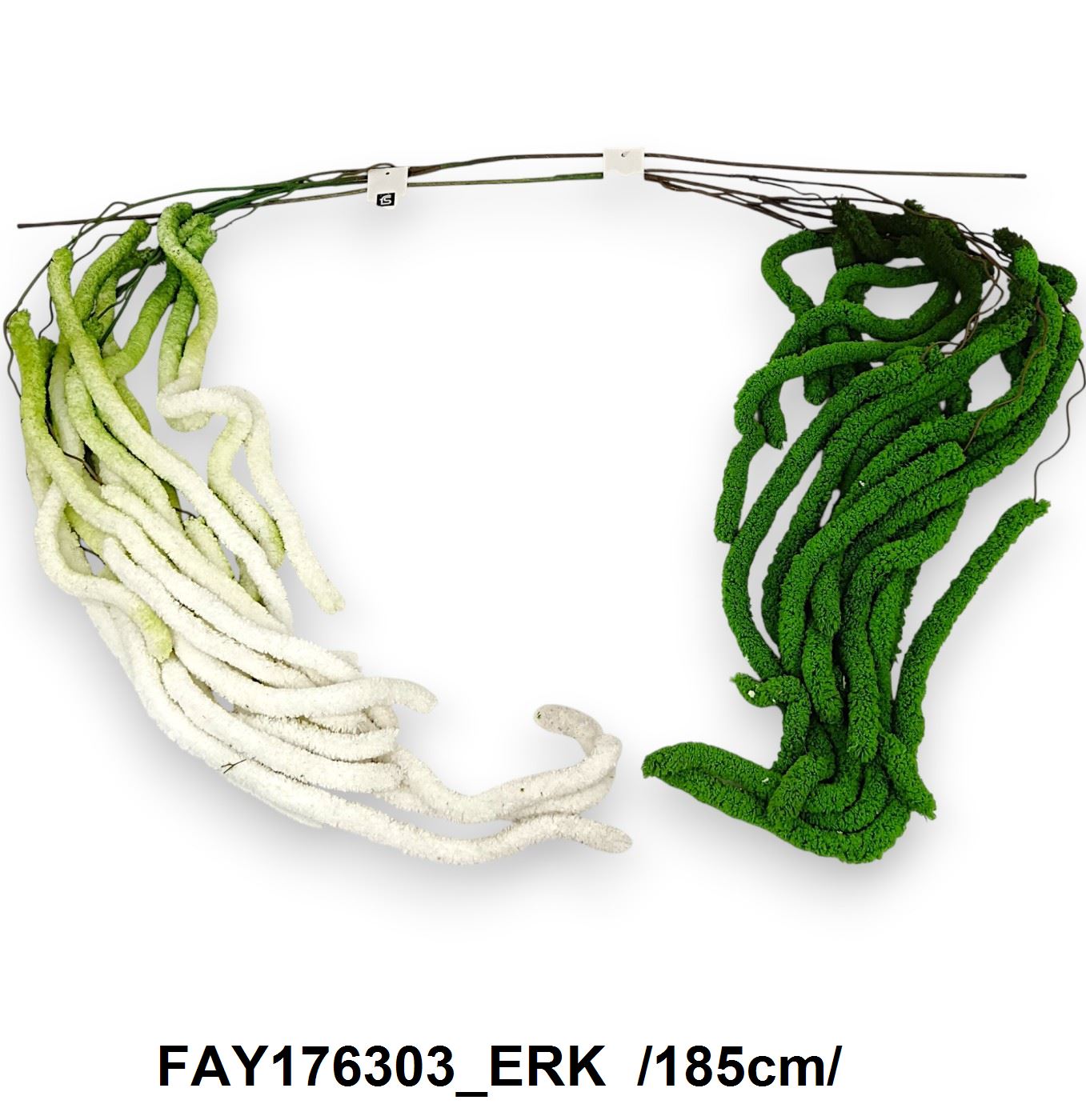 FAY176303_ERK
