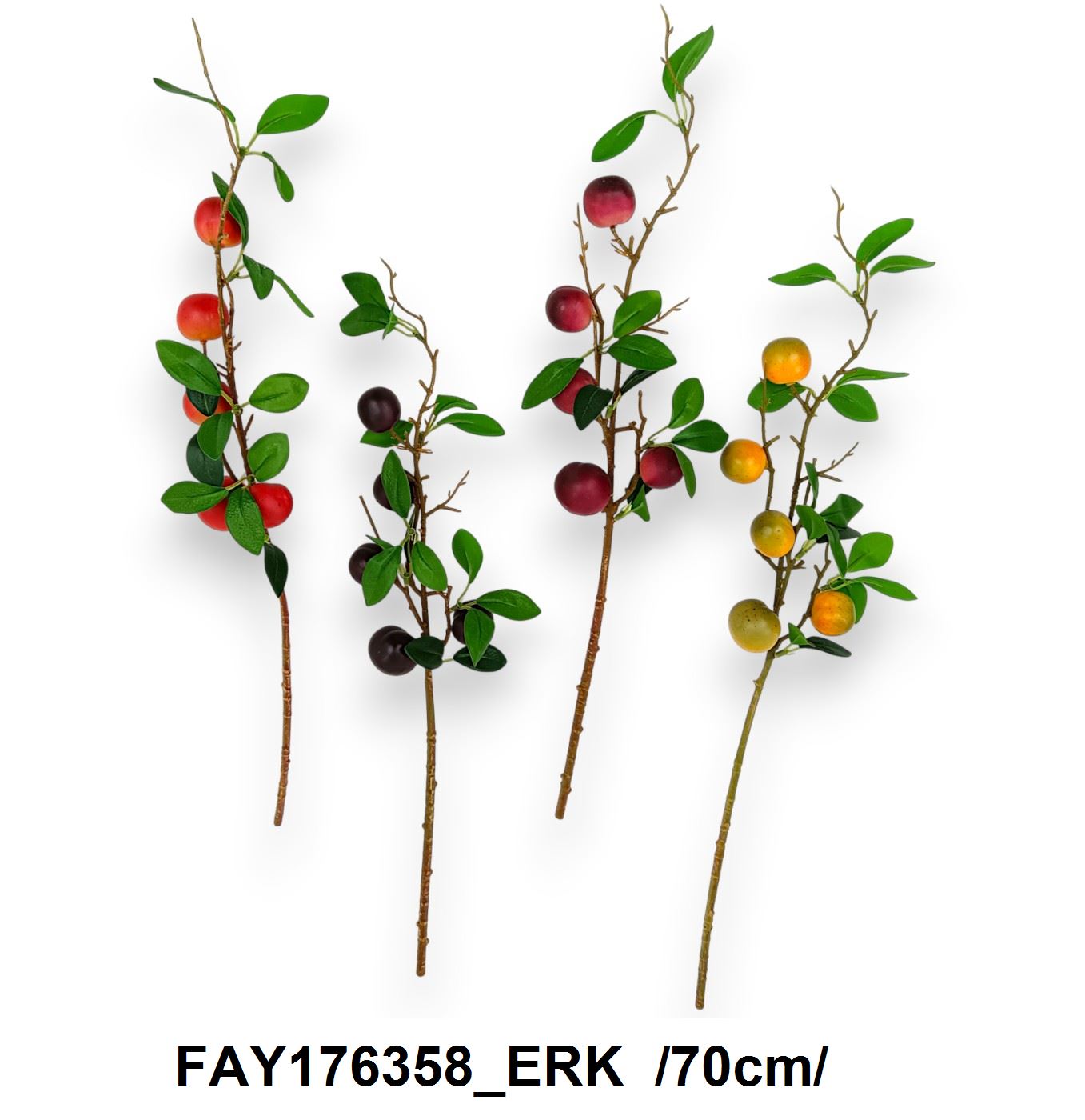 FAY176358_ERK