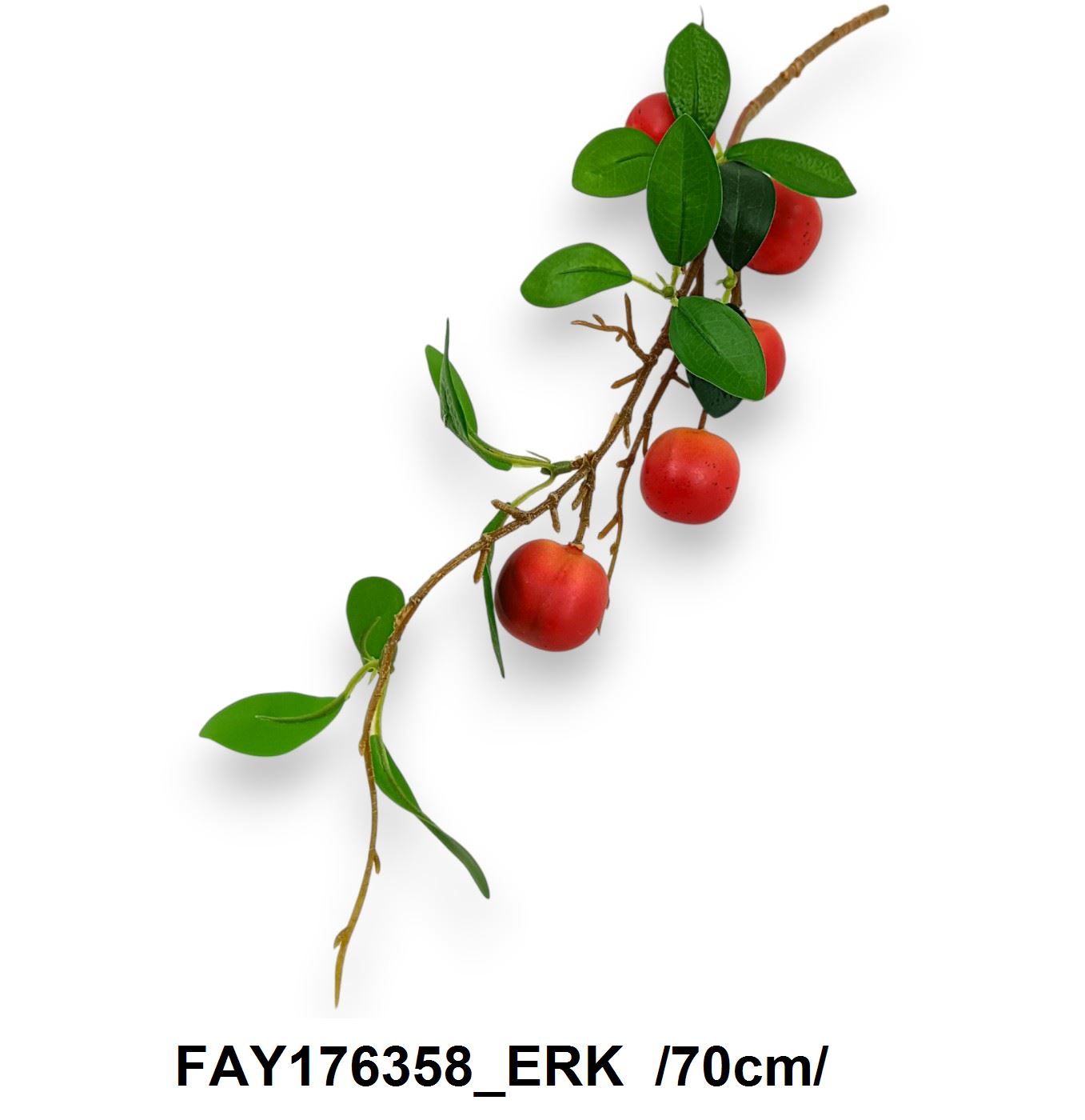 FAY176358_ERK