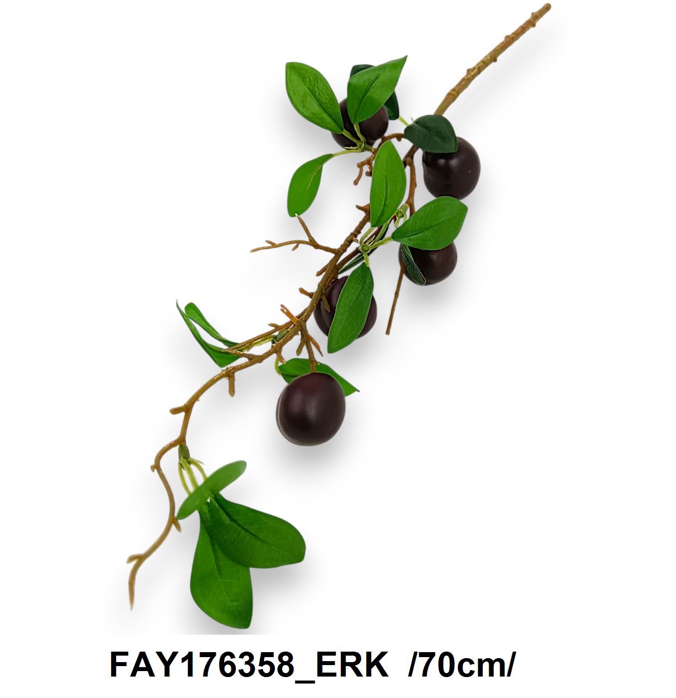 FAY176358_ERK