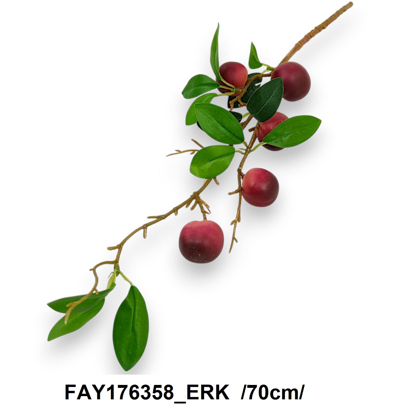 FAY176358_ERK