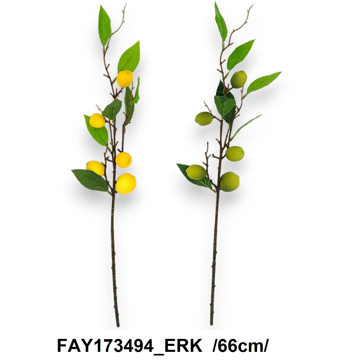 FAY173494_ERK