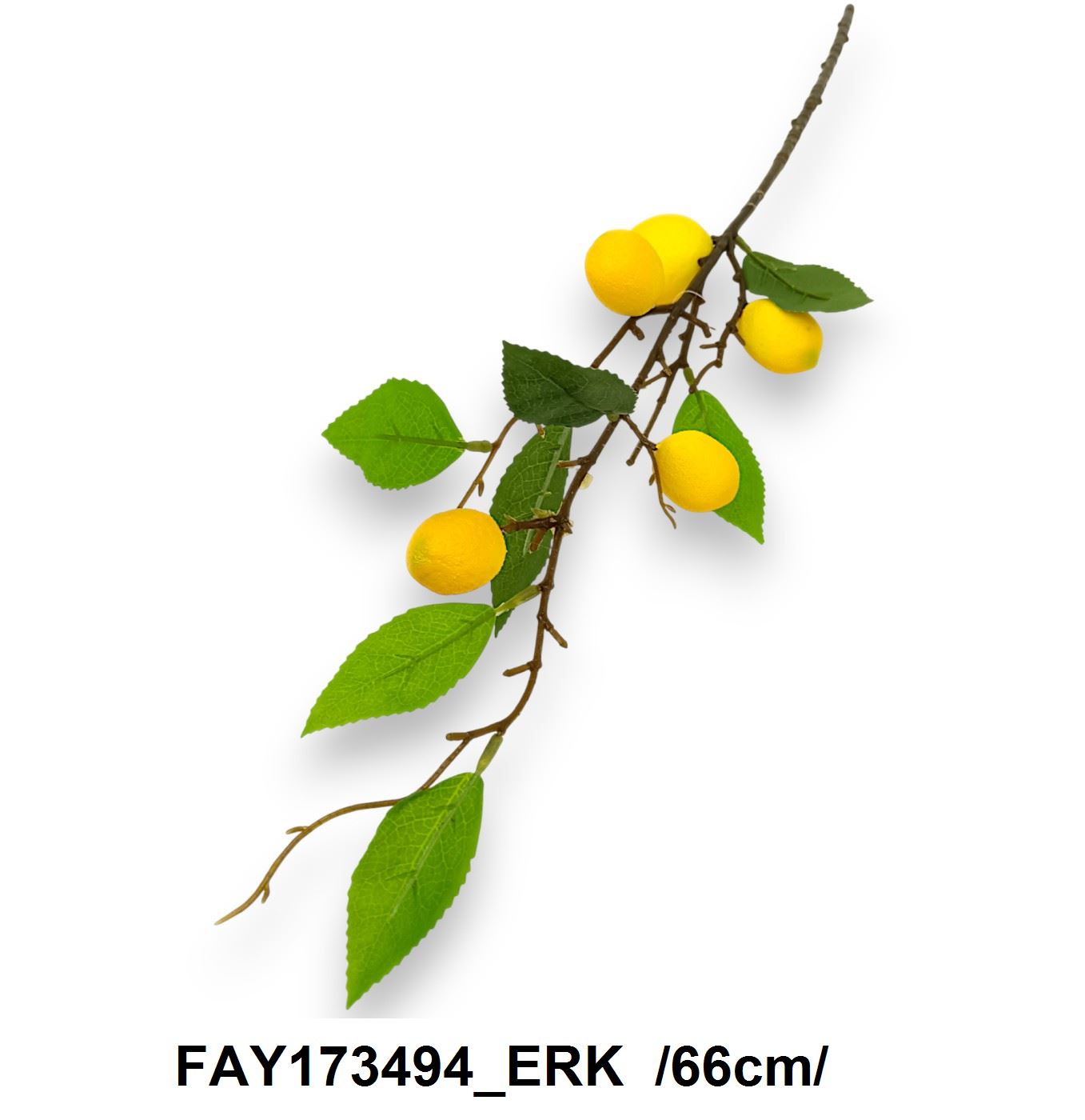 FAY173494_ERK