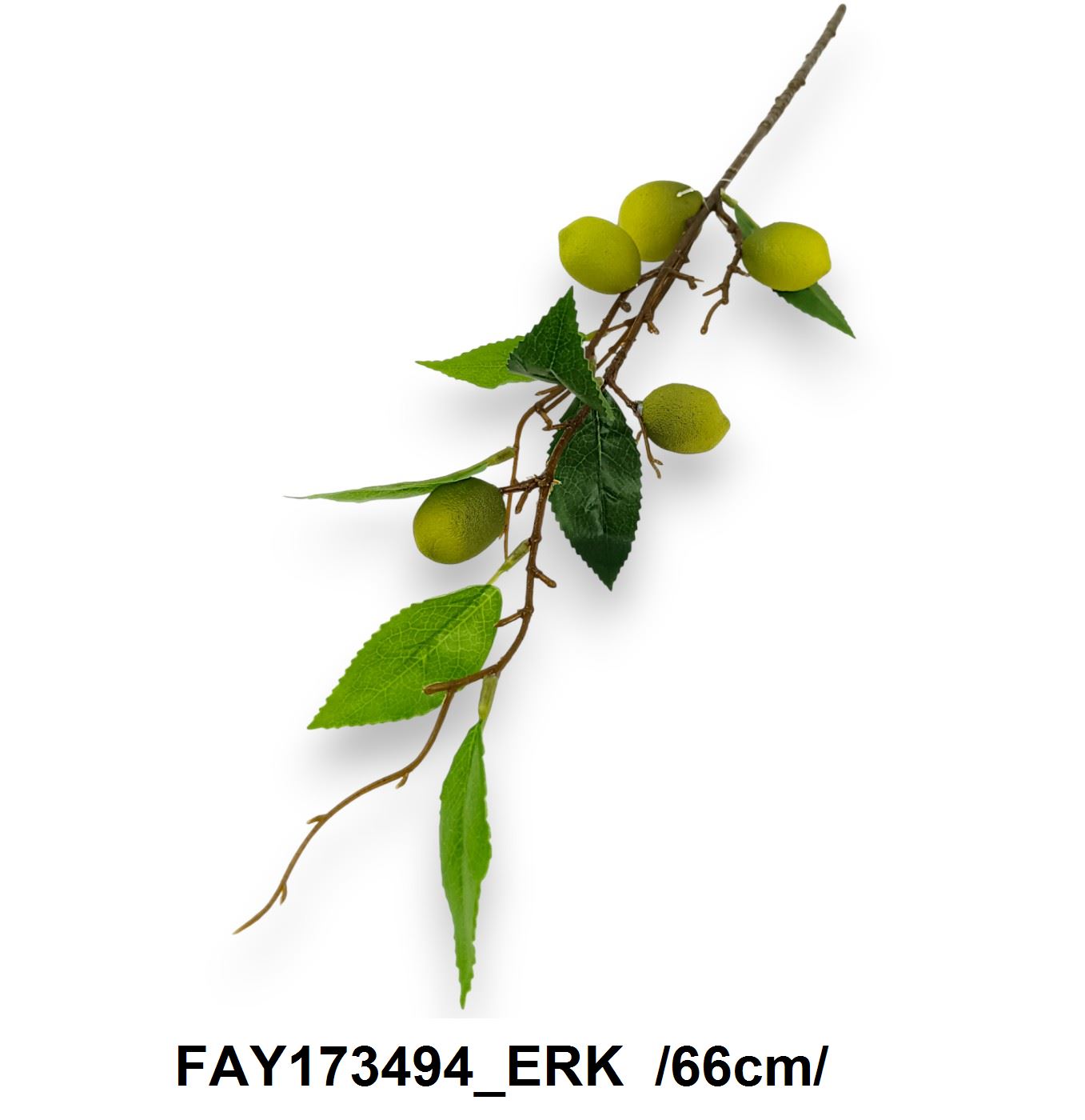 FAY173494_ERK
