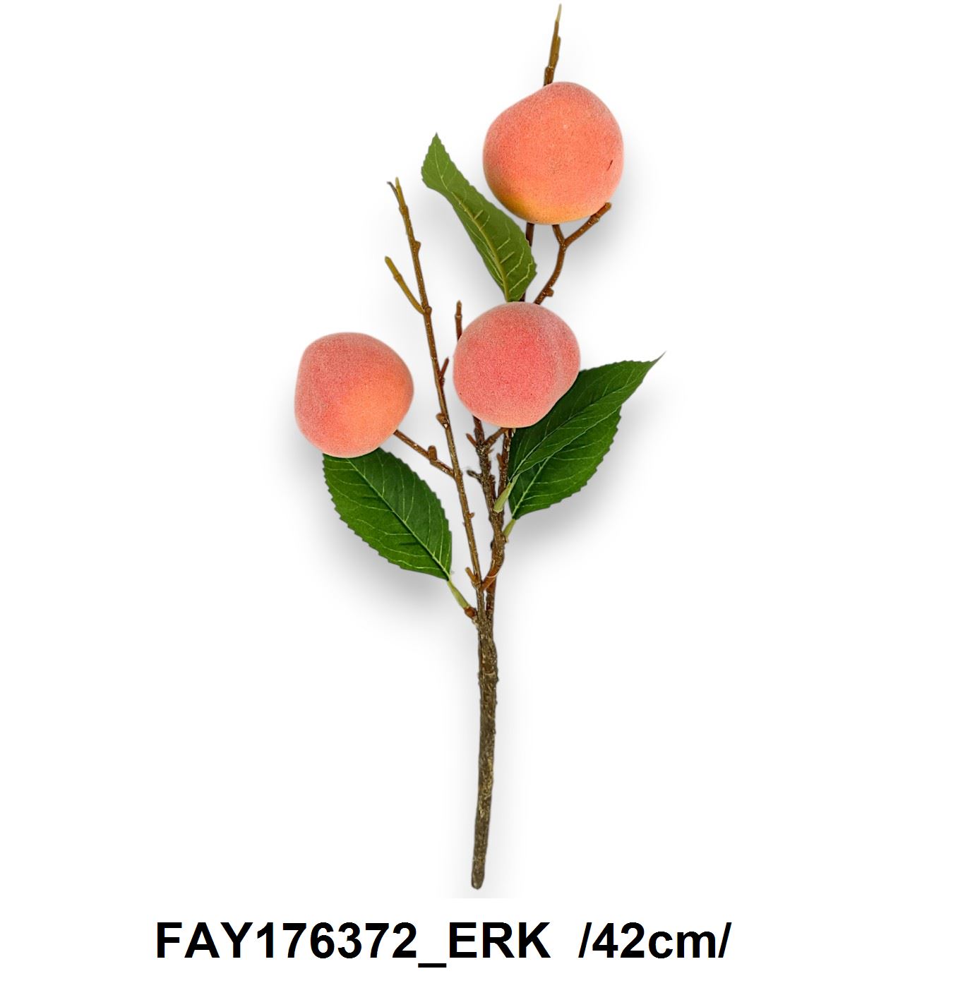 FAY176372_ERK