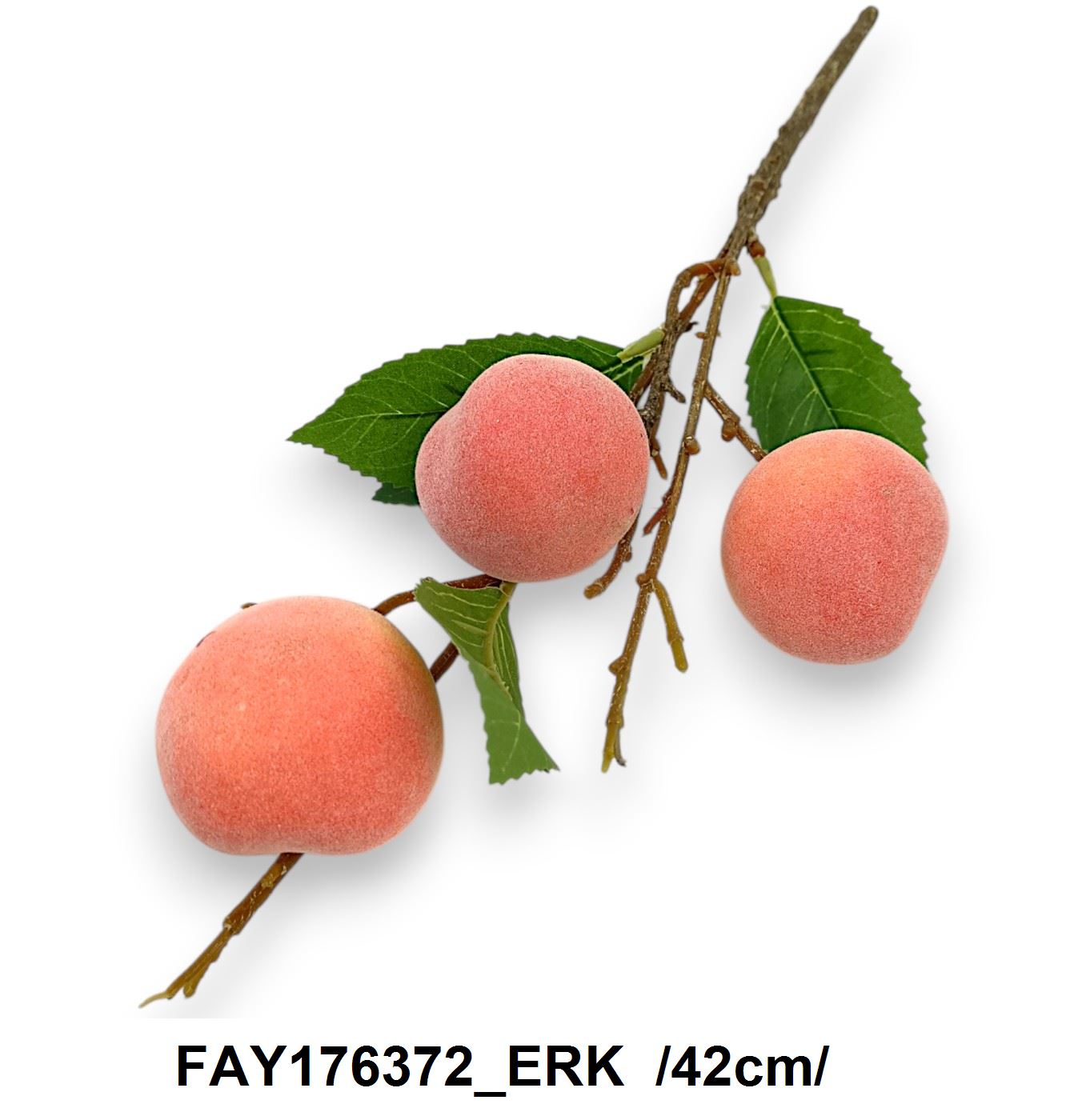 FAY176372_ERK