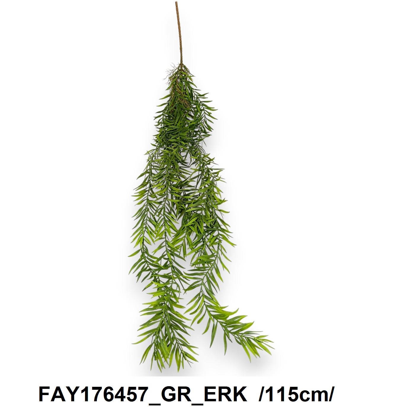 FAY176457_GR_ERK