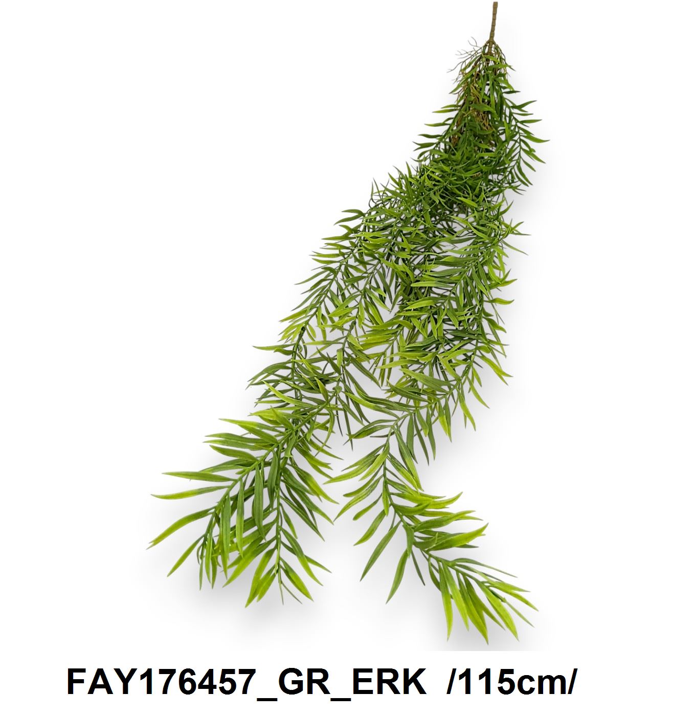 FAY176457_GR_ERK