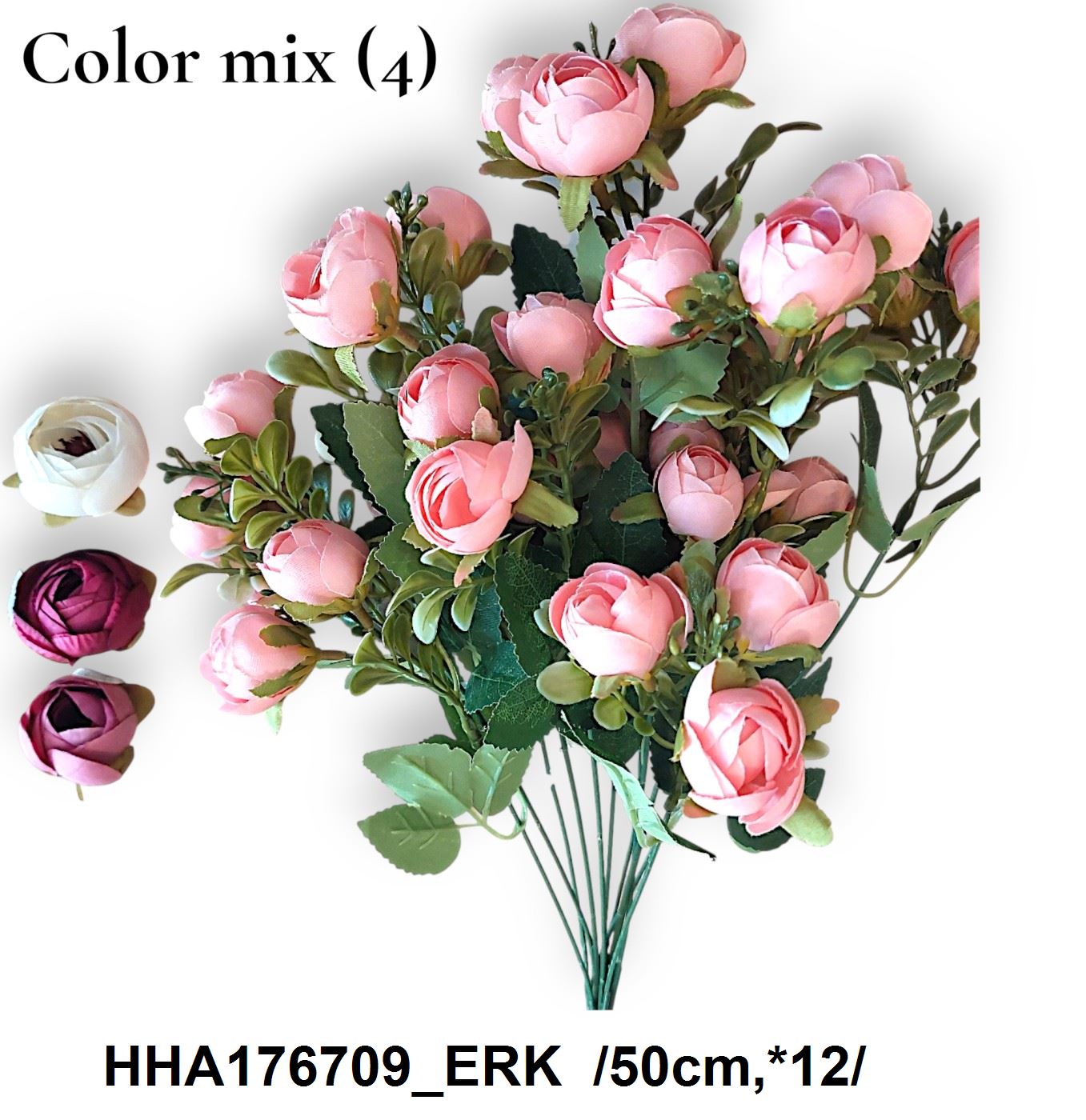 HHA176709_ERK