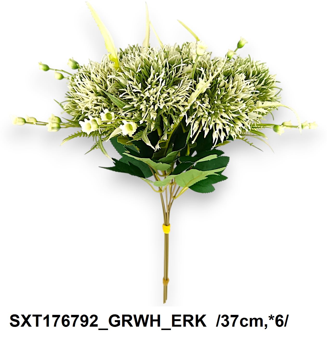 SXT176792_GRWH_ERK