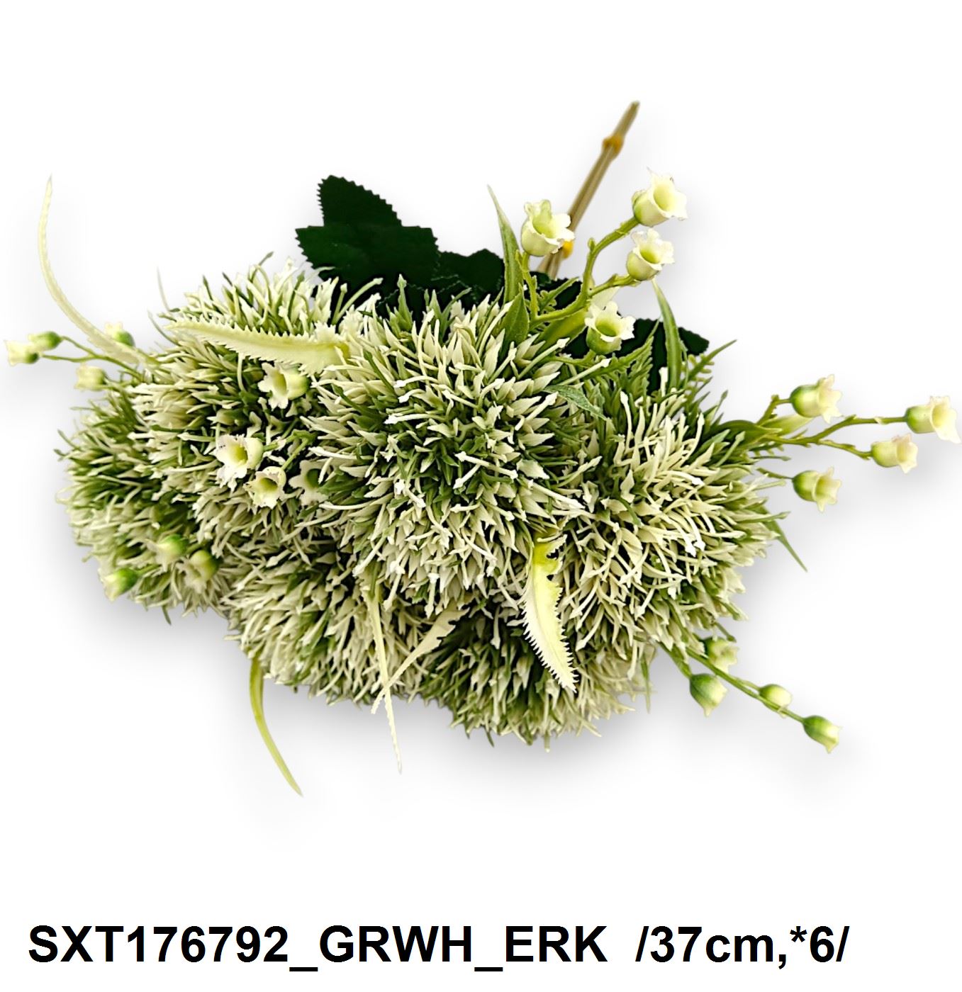 SXT176792_GRWH_ERK