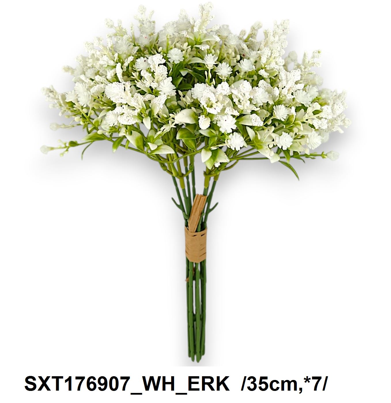 SXT176907_WH_ERK